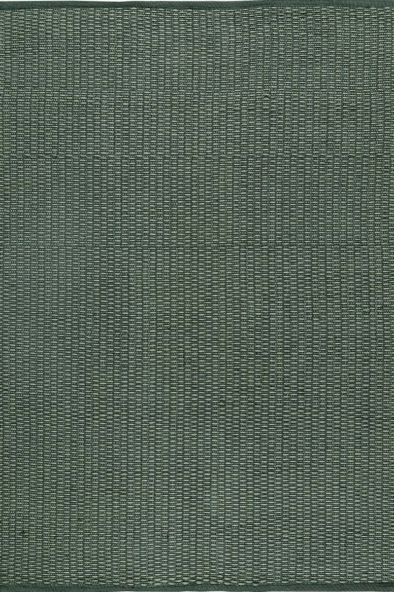 Carpe Natura Pitloom Sage Green PET Flatweave Outdoor Area Rug