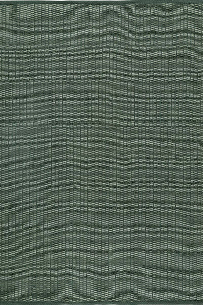 Carpe Natura Pitloom Sage Green PET Flatweave Outdoor Area Rug