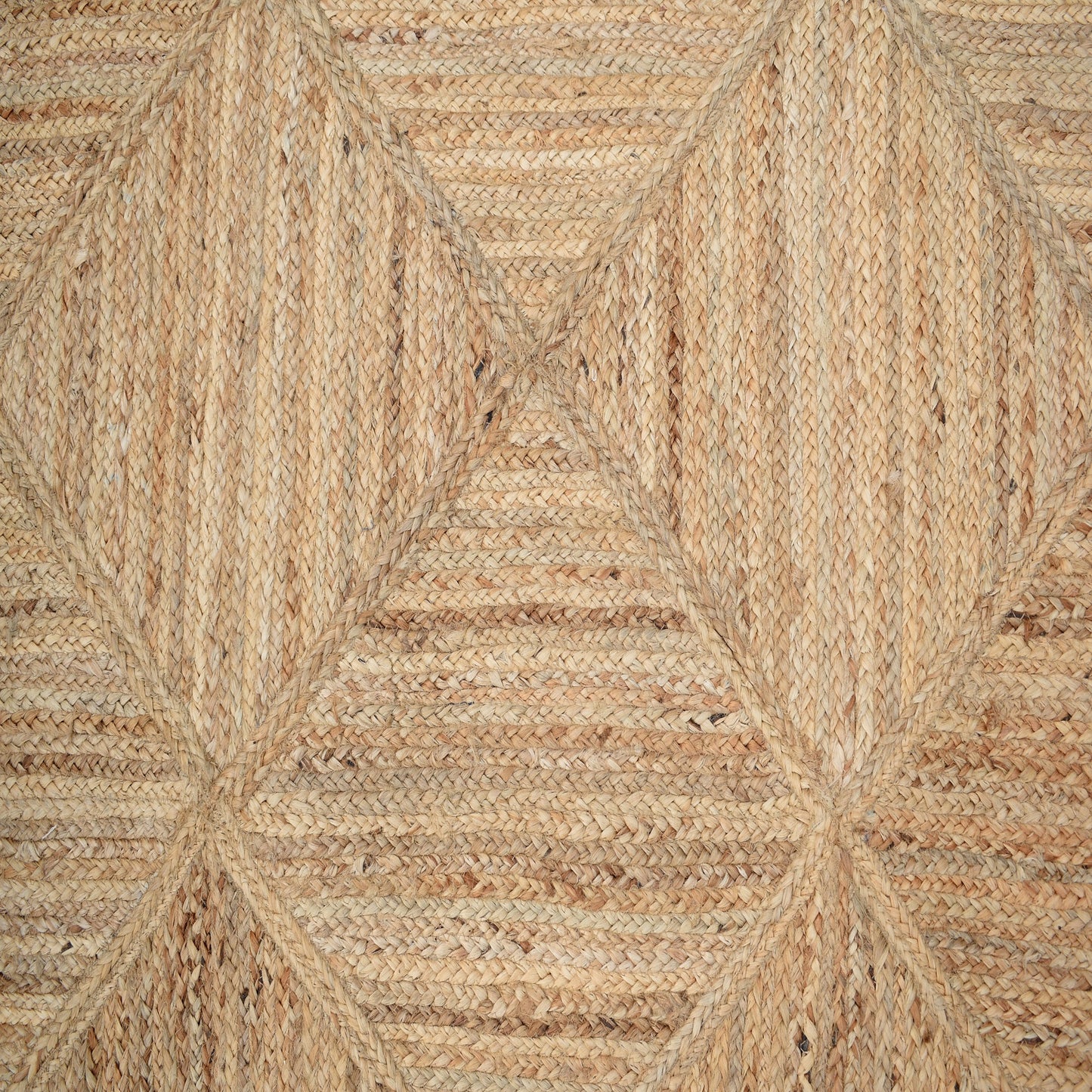 Carpe Natura Braided Jute Flatweave Area Rug